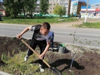 В рамках партийного проекта Вольского местного отделения партии "ЕДИНАЯ РОССИЯ" "Городская среда" проведено много субботников по благоустройству города