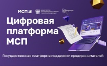 О работе Цифровой платформы МСП.РФ